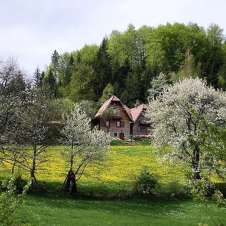 Konaci Zaovljanska Jezera Apartment Zaovine ภายนอก รูปภาพ