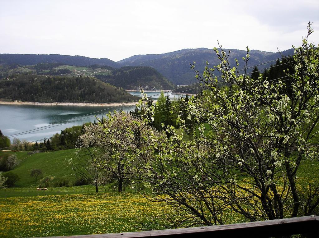 Konaci Zaovljanska Jezera Apartment Zaovine ภายนอก รูปภาพ