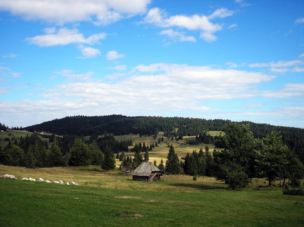 Konaci Zaovljanska Jezera Apartment Zaovine ภายนอก รูปภาพ